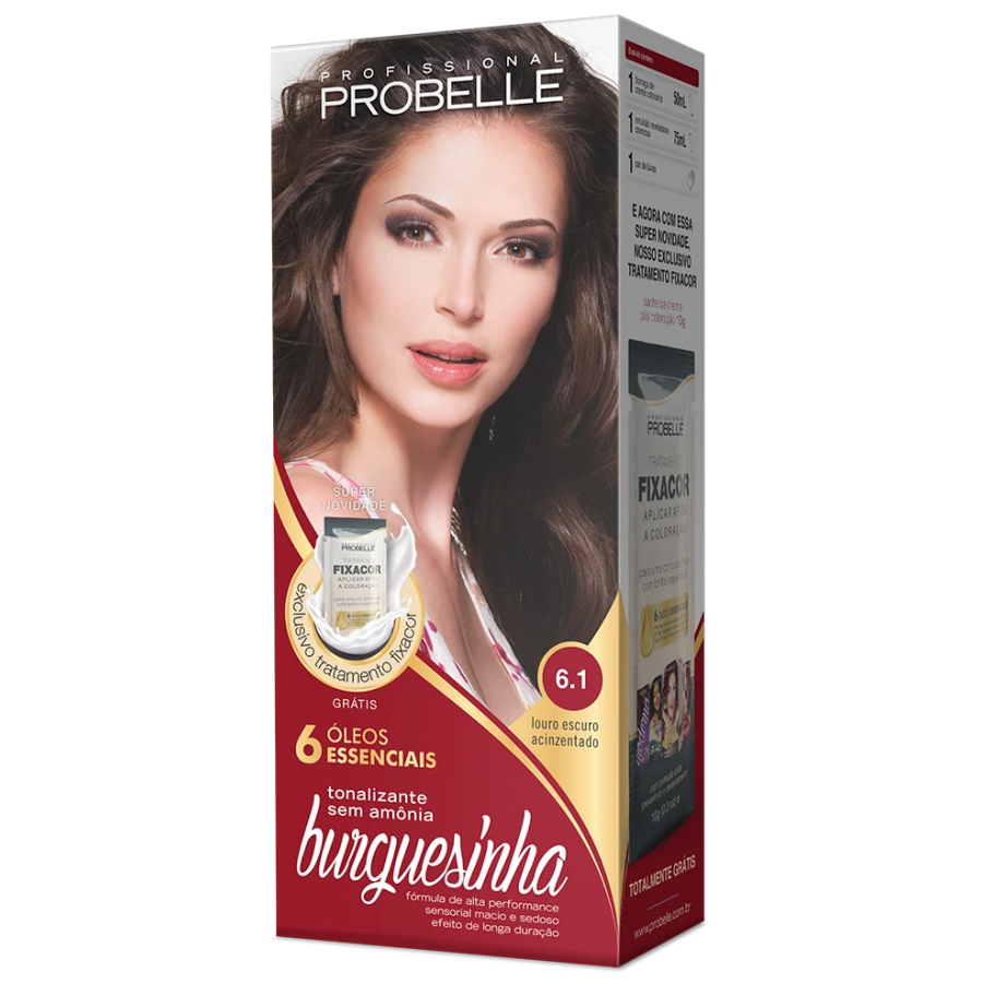 Coloração Burguesinha 6.1 Louro Escuro Acizentado